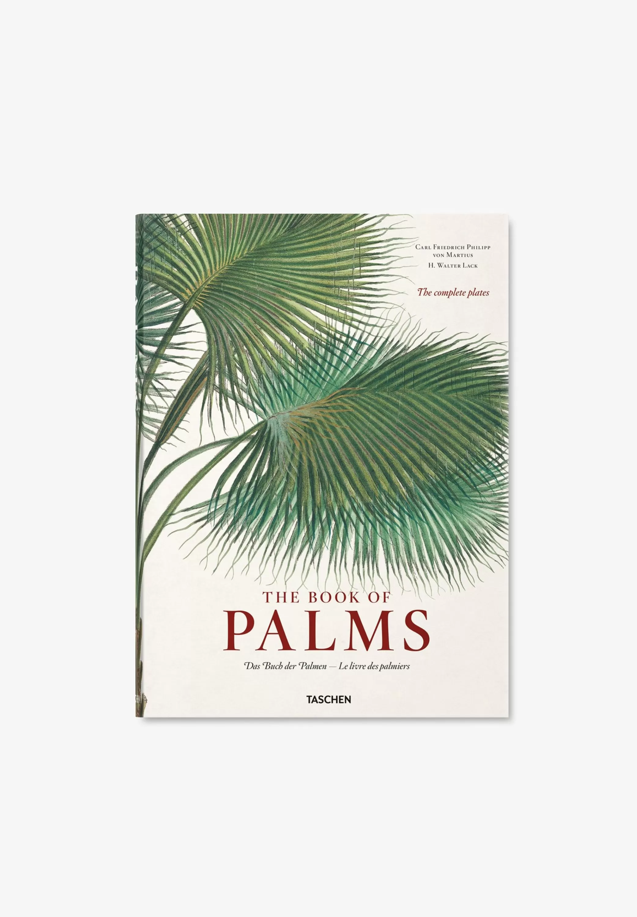 Best | Libro Book Of Palms Hombre Mas Accesorios